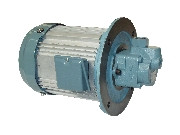 TOYOOKI HBPP Gear pump HBPP-KF4L-VC2V-31A*-A #1 image
