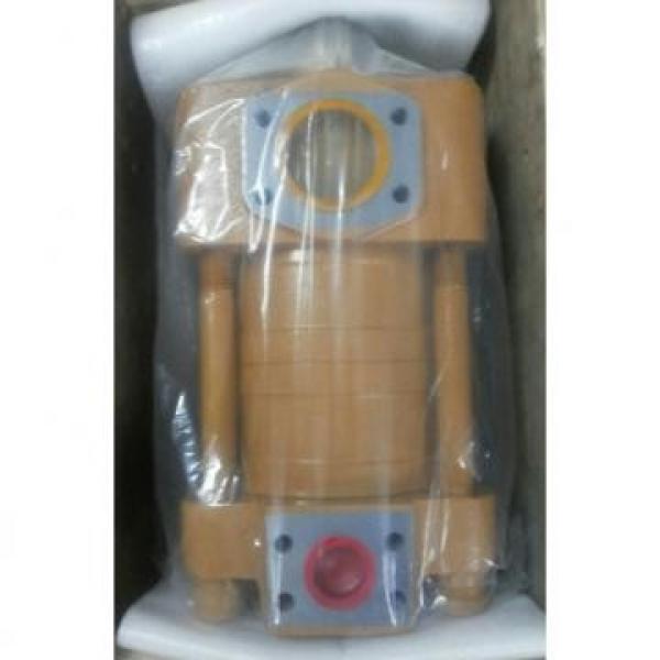 CQT63-80FV-S1376-A Japan Sumitomo Gear Pump #3 image